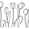 Tulip Outline SVG