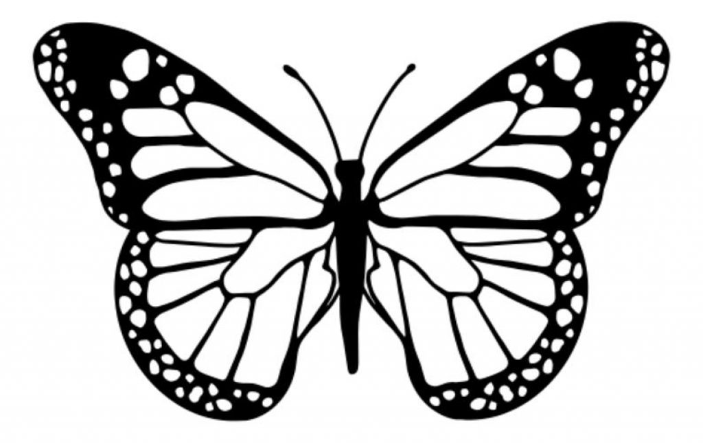 Handdrawn Butterfly SVG