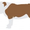 Dog pug bulldog SVG