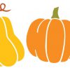 Pumpkin Set SVG
