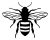 Vintage Bee SVG