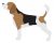 Dog beagle SVG