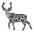 Mandala deer SVG Cut File